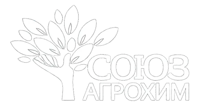 союз_вайт_результат